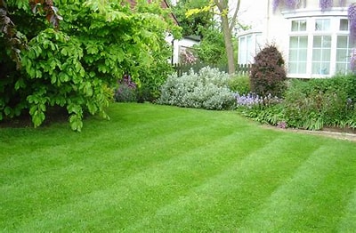 Lawn Mowing