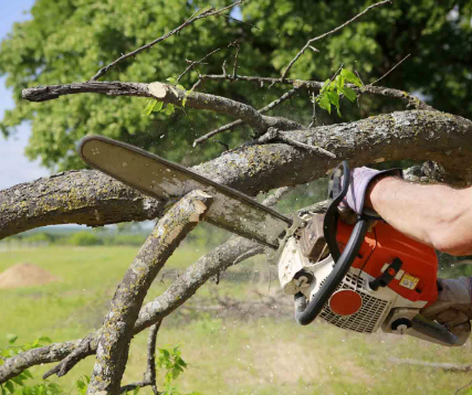 Trimming
